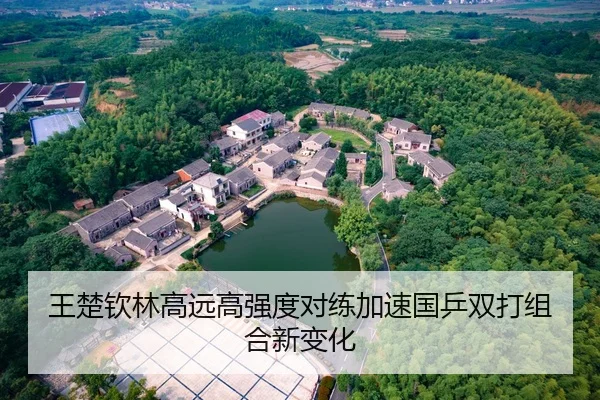 王楚钦林高远高强度对练加速国乒双打组合新变化