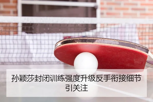 孙颖莎封闭训练强度升级反手衔接细节引关注