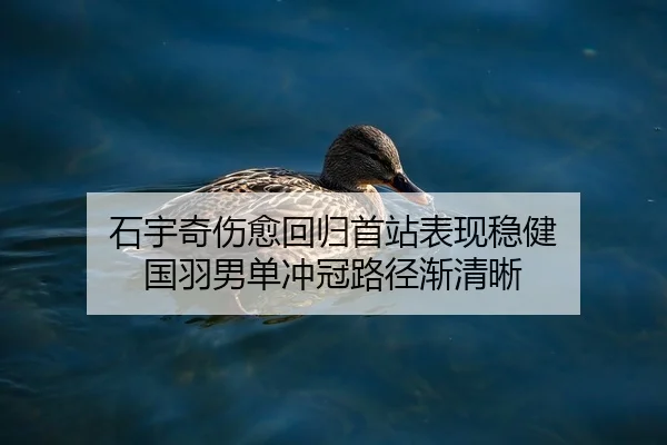 石宇奇伤愈回归首站表现稳健 国羽男单冲冠路径渐清晰