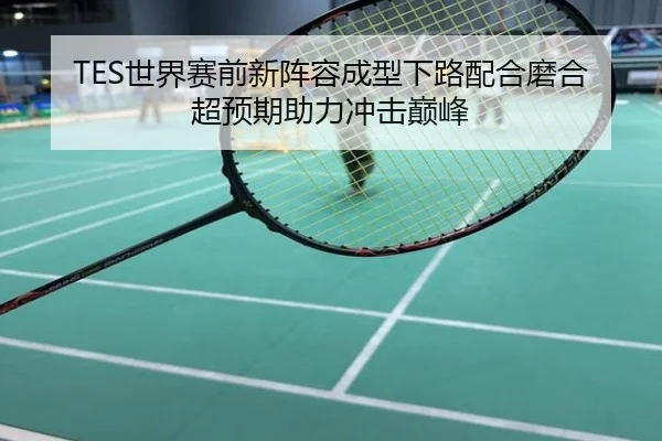 TES世界赛前新阵容成型下路配合磨合超预期助力冲击巅峰